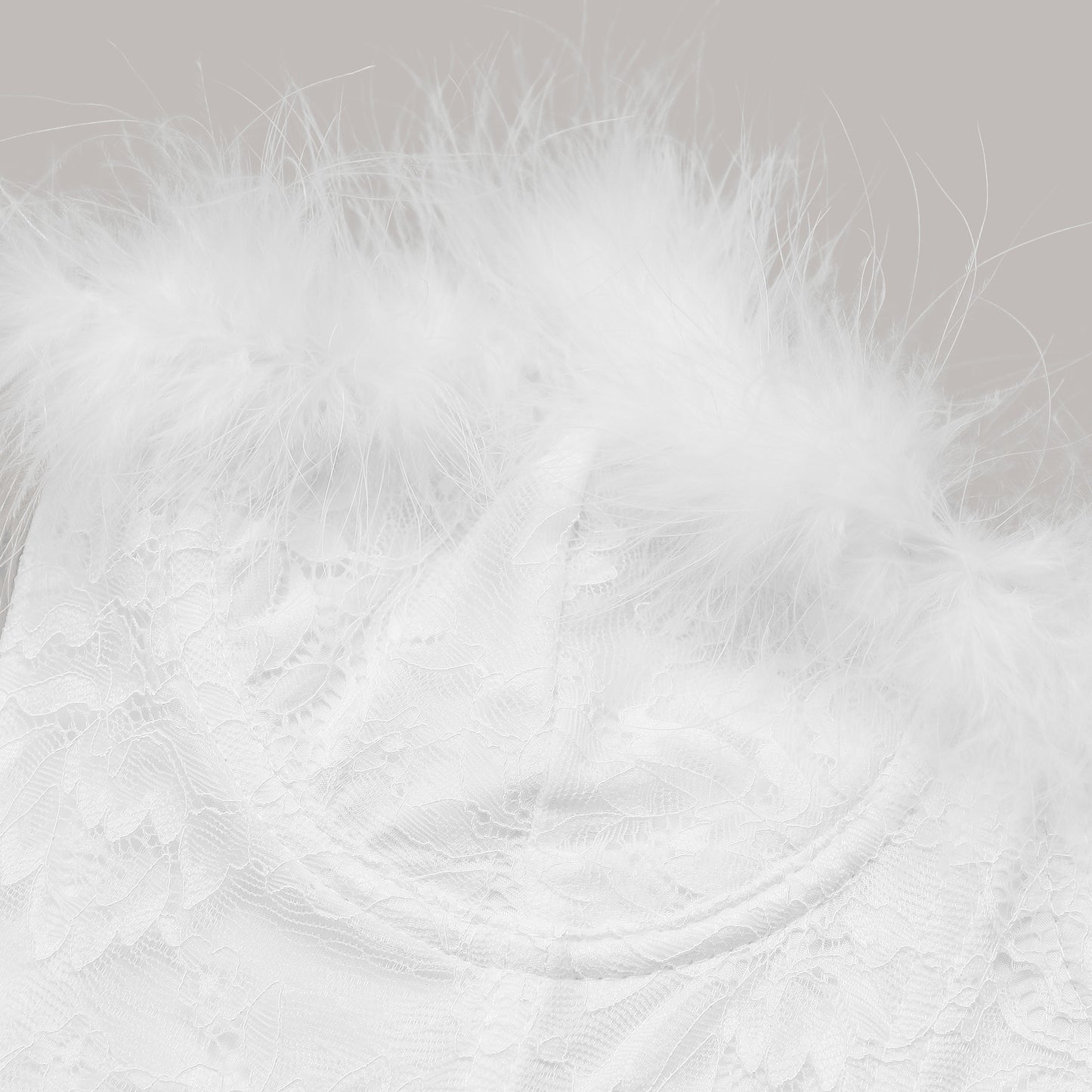 Feather Noir Corset
