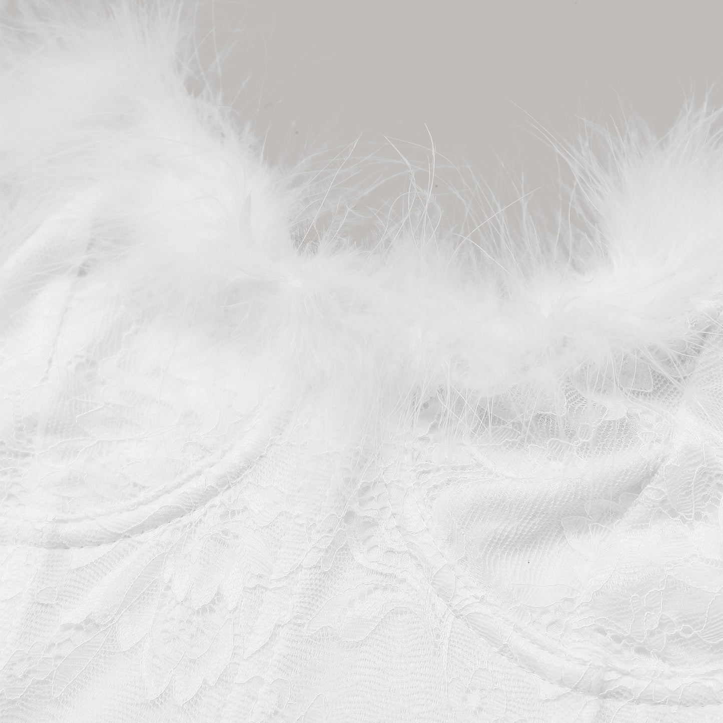 Feather Noir Corset