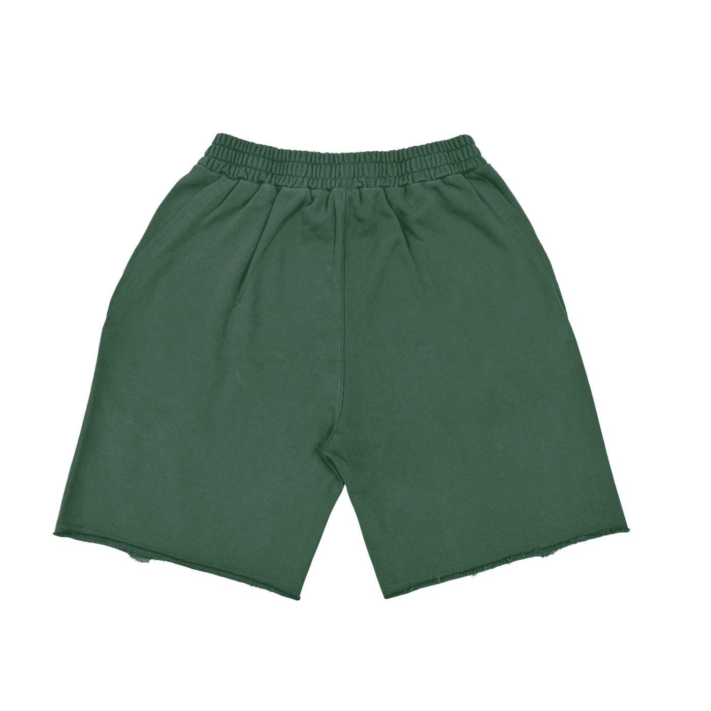 No 180 Phantom Tiger Street Shorts